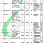 2024 Cabinet Division Jobs: Download Application Form At Www.cabinet.gov.pk