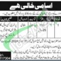 2024 Job Opportunities For Matric Pass At Po Box No