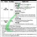 2024 Lahore Latest Advertisement For Jobs In Local Government And