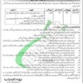 2024 Lahore Museum Jobs: Requirements For Eligibility In The Latest