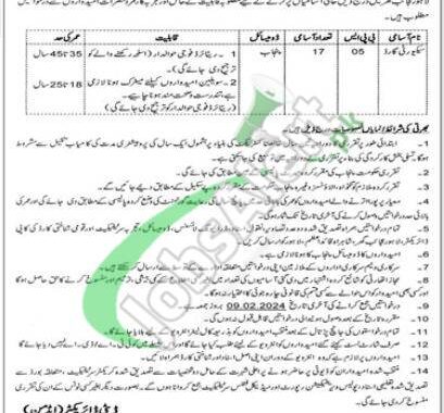 2024 Lahore Museum Jobs: Requirements For Eligibility In The Latest