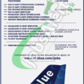 Apply Online For Air Blue Jobs In Pakistan 2024 |