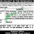 Apply Online For Uvas Jobs 2024 At University Of Veterinary