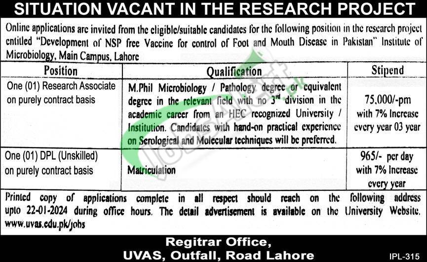 Apply Online For Uvas Jobs 2024 At University Of Veterinary