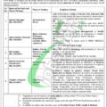 Apply For Pphi Sindh Jobs 2024 On The Pphi Job