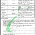 Apply For Rescue 1122 Jobs In Gilgit Baltistan 2024