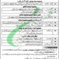 Career Opportunities At Anjuman Himayat E Islam Lahore In 2024