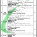 Current Job Openings In The Planning And Development Department Punjab