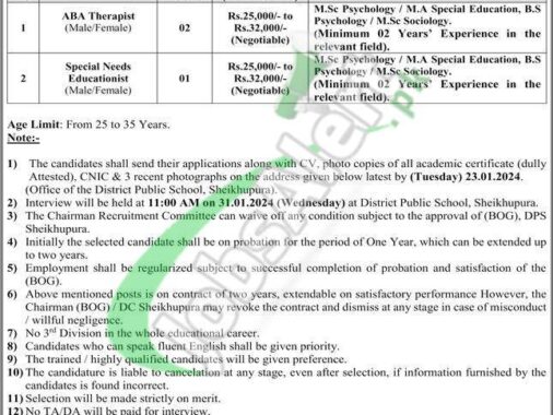 District Public School Safdarabad Is Hiring Teaching Staff For The