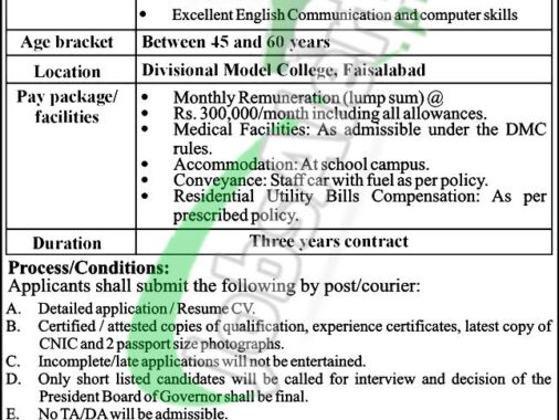 Download Application Form For Jobs At Divisional Model College Faisalabad