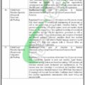 Download Online Application Form For 2024 Jobs At Bisp (benazir