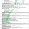 Download Online Application Form For Pifd Lahore Jobs 2024