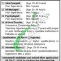 Download The 2024 Online Application Form For Jobs At Pakistan