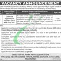 Download The Kpra Jobs 2024 Khyber Pakhtunkhwa Revenue Authority Application