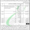 Eligibility Criteria For B 5 To B 2 Jobs In Mirpur District