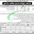 Employment Opportunities At Cantonment Board Faisal Karachi For 2024