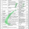 Government Of Pakistan Latest Jobs 2024 At Po Box No