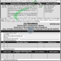 Job Opportunities In Kpk's Elementary And Secondary Education Department 2024: