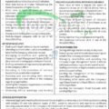 Kpk Economic Zone Development & Management Company Employment Opportunities 2024