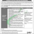 Latest Advertisement For Online Applications For Bank Of Punjab Jobs