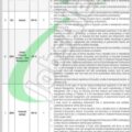 Latest Job Openings In The 2024 Finance Department Kpk