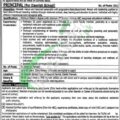 Latest Job Opportunities At Punjab Daanish Schools And Centers Of