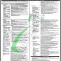 Latest Online Application For Public Sector Organization Jobs In Sindh