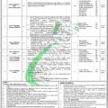 Latest Advertisement For Quetta Electric Qesco Jobs 2024 Apply