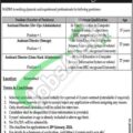 Nadra Jobs 2024: National Database And Registration Authority January Advertisement