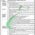 National Bank Of Pakistan Online Job Application Deadline 2024