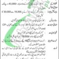 National Logistics Cell Walk In Interview: Latest Advertisement For Driver Jobs