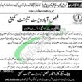 Newest Advertisement For Faisalabad Waste Management Company Fwmc Jobs In