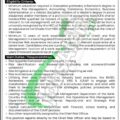 Newest Bok.com.pk Advertisement For 2024 Bank Of Khyber Job Positions