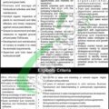 Newest Job Openings At Dha Bahawalpur For The Year 2024