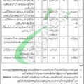 Staff Required For 2024 Jobs At Rangers Cadet College Chakri