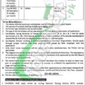 2024 Application Form For Jobs At The Population Welfare Department