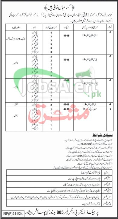 2024 Job Opportunities In A Public Sector Organization In Kpk