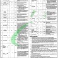 2024 Latest Advertisement For Jobs At Fatima Jinnah Institute Of