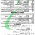 2024 Punjab Police Constable Application Form Newest Jobs Announcement