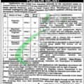 Apply For Arid Agriculture University Jobs 2023 Online At Www.uaar.edu.pk