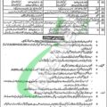 Deadline For The 2024 Punjab Police Driver Constable Jobs Application