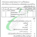 Download 2024 Application Form For Ajk Service Tribunal Jobs