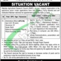 Download 2024 Parc Jobs Application Form From Www.parc.gov.pk