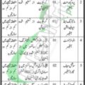 Download Online Application Form For Po Box 12225 Karachi Jobs