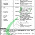 Download Online Form For Ajk Planning & Development Department Jobs