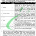 Download The 2024 Job Application Form For Pakistan Academy Of