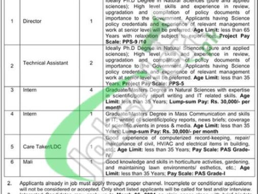 Download The 2024 Job Application Form For Pakistan Academy Of