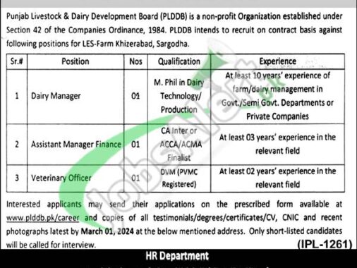 Download The Latest Advertisement For Plddb Jobs 2024 And Application