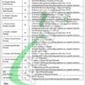 Latest Advertisement For Jobs In Gujranwala 2024 Not Available For