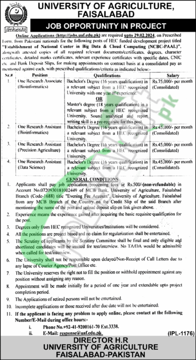 Latest Online Form For Jobs At University Of Agriculture Faisalabad